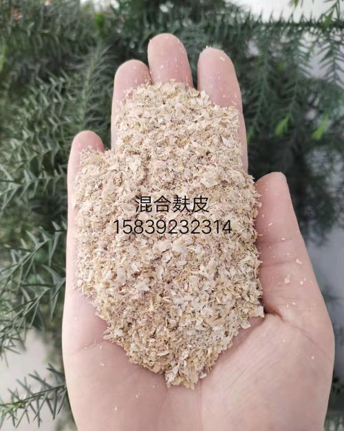 厂家直销全国发货 畜牧养殖饲料用小麦麸皮，为鸡鸭鱼水产牛羊猪养殖提供优质营养