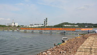 创新养殖模式 720亩鳜鱼全饲料跑道养殖基地引关注