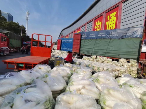 透明包装下的安心年 光明食品集团春节保供的三重底色