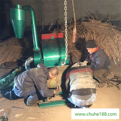 全链条视角 从种植到加工的多领域产业协同发展